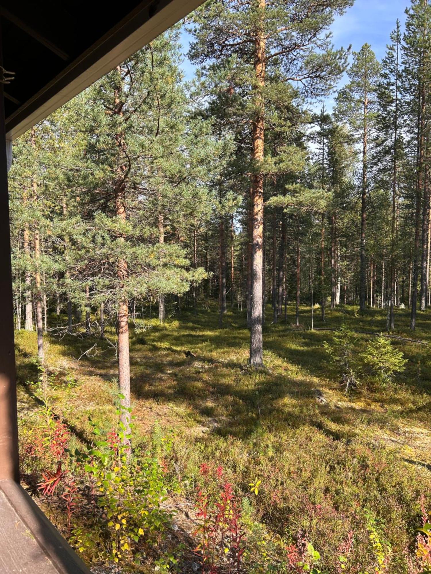 Unelmasaeleikkoe 2 Kittilä Exteriér fotografie